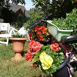 Apartmán Skalny