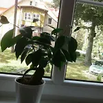 Apartmán Skalny *