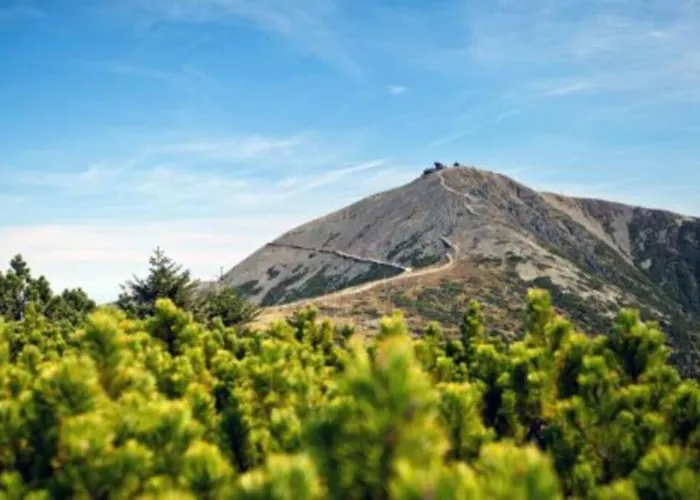 公寓 Skalny 卡尔帕奇