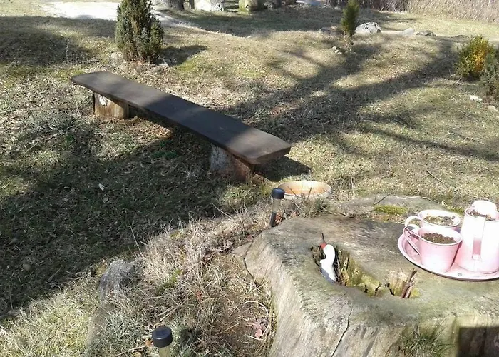 Skalny * 卡尔帕奇