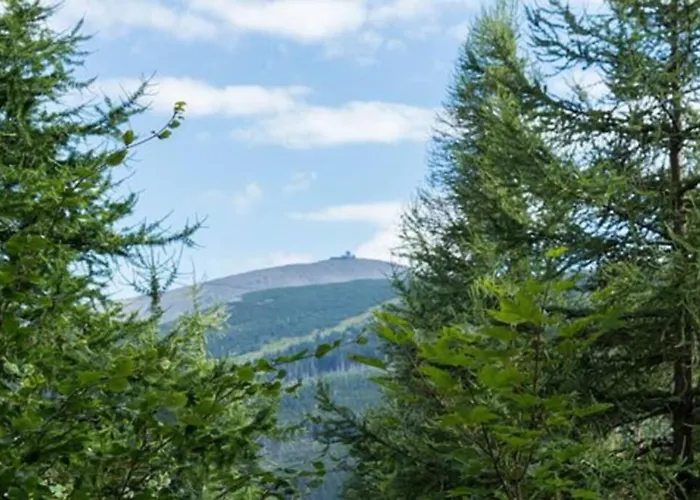 公寓 Skalny 卡尔帕奇