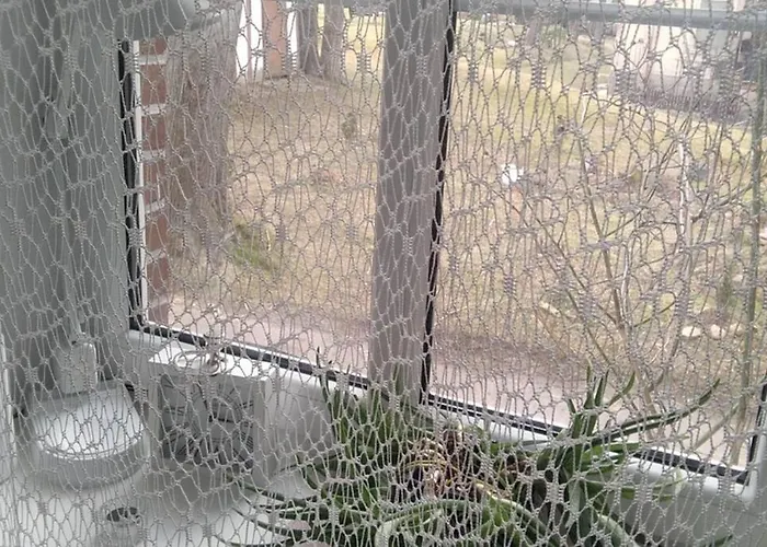 Skalny 公寓 卡尔帕奇