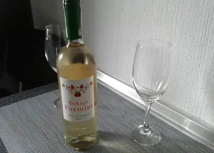 Skalny 公寓 卡尔帕奇